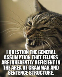 Grammatically Conscious LoLcat